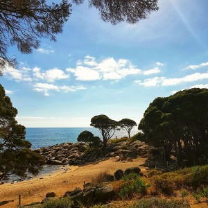 Margaret-River-Wine-tours-bunker-bay